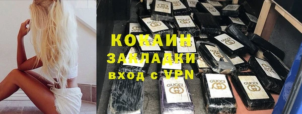 дмт Тайга
