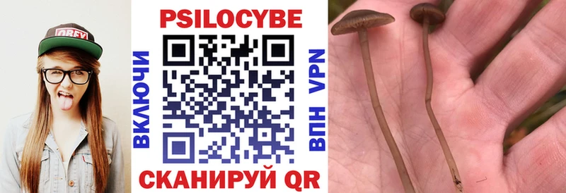 Псилоцибиновые грибы GOLDEN TEACHER Костомукша